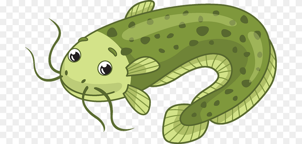 Catfish Clipart College Of Teacher Education, Animal, Sea Life, Fish, Shark Png