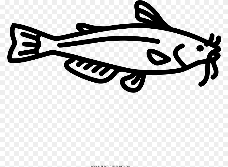 Catfish Coloring Page, Gray Free Png