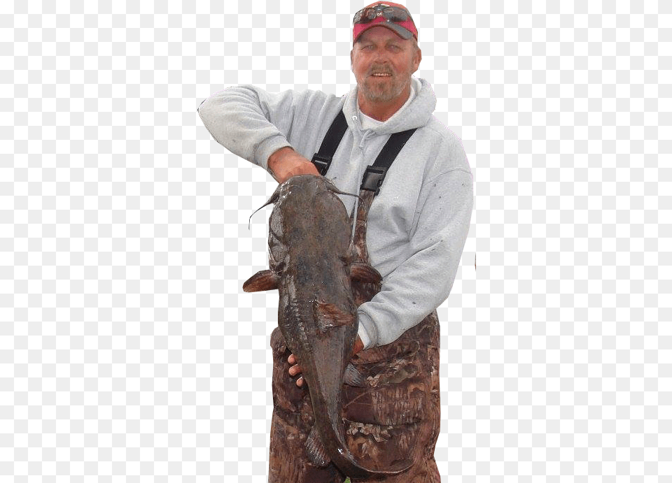Catfish Conference, Adult, Male, Man, Person Png