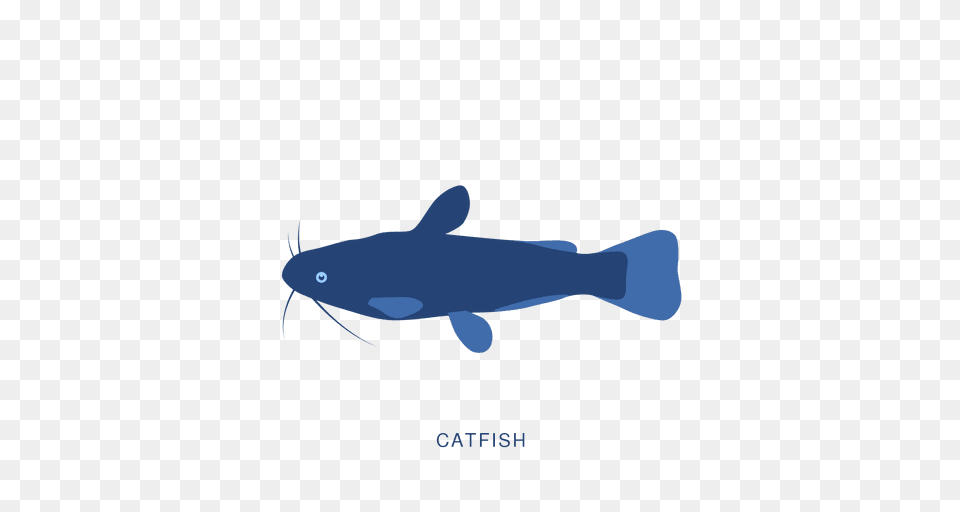 Catfish Fish Fishing Animal, Aquatic, Water, Sea Life, Shark Free Png Download