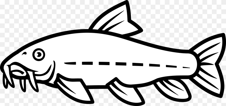 Catfish Vector By Nico, Animal, Coho, Fish, Sea Life Free Transparent Png