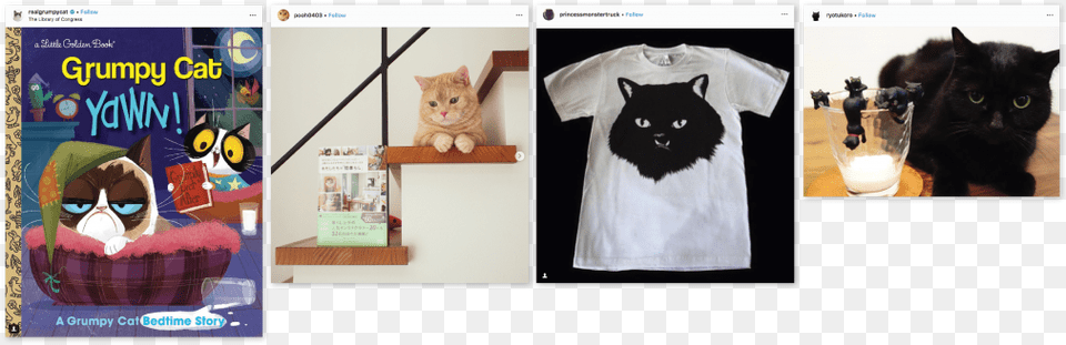 Catfulencers Sponsored Posts Own Merch Domestic Short Haired Cat, Clothing, T-shirt, Art, Collage Free Png Download