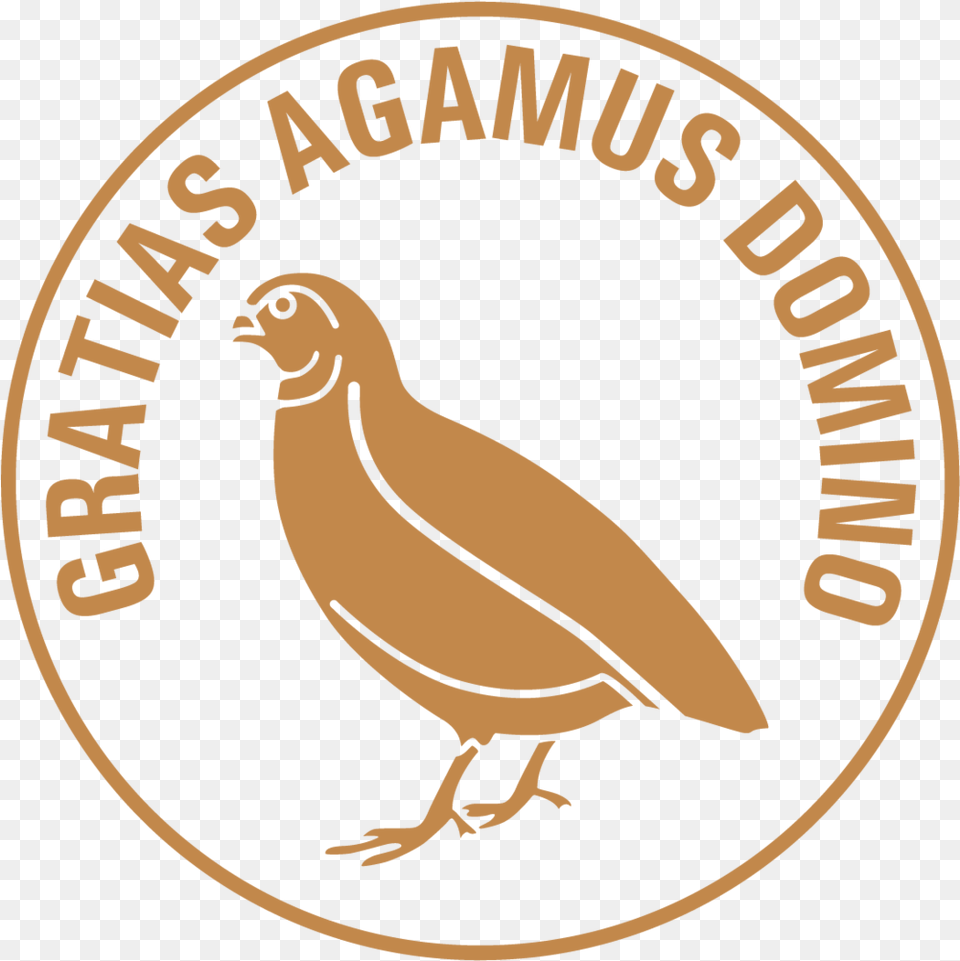 Catholic Bishop Priest Branding Logo Turkey, Animal, Bird, Quail, Partridge Png Image
