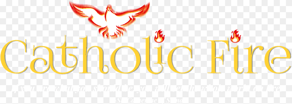 Catholic Fire Language, Animal, Bird Png