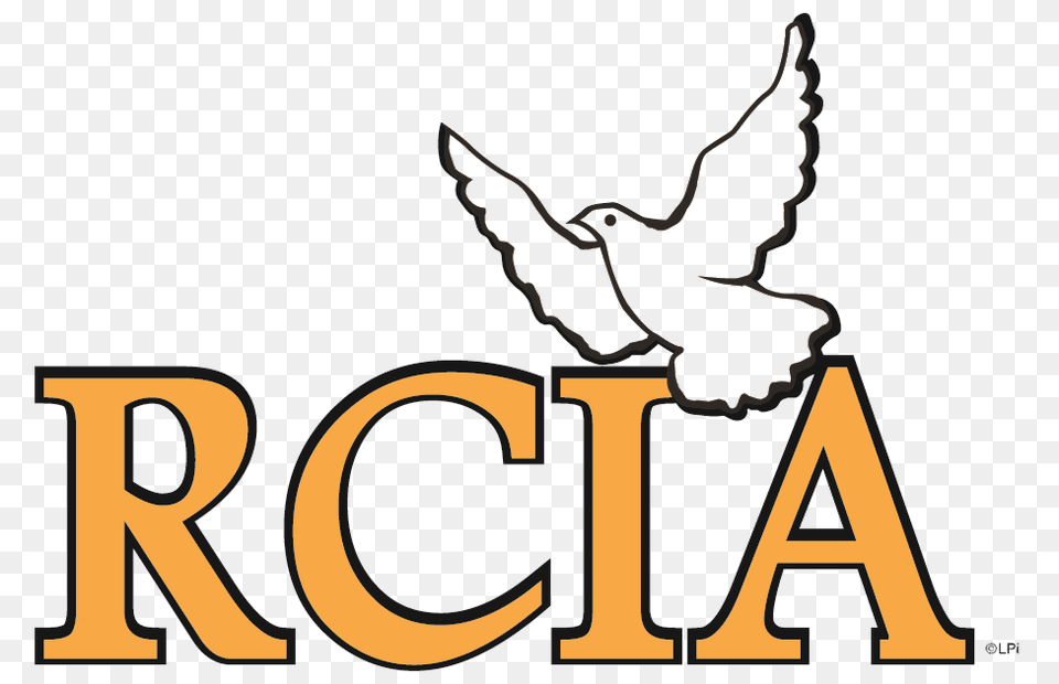 Catholic Rcia Clip Art Image, Animal, Bird, Pigeon, Dynamite Free Png