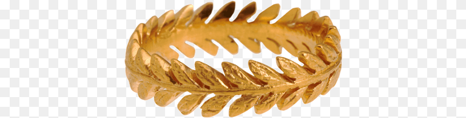 Cathy Waterman Gold Laurel Leaf Band Ring, Accessories, Birthday Cake, Cake, Cream Free Png Download
