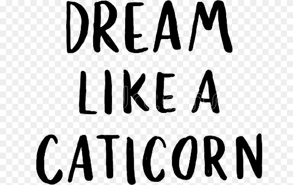 Caticorn Dream Quote Quotes Sayings Text Words Black And White Png Image