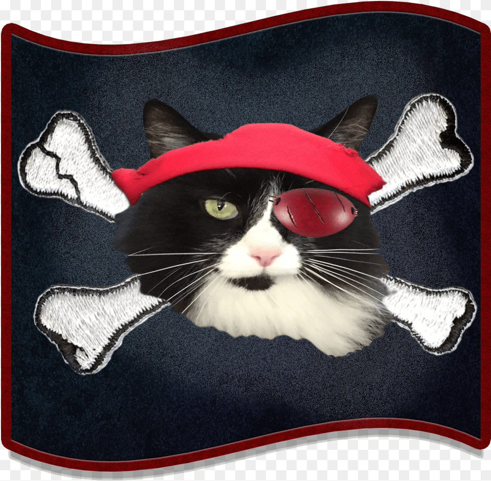Catnip Amp Dog Biscuits Asian, Cushion, Home Decor, Animal, Applique Free Png Download