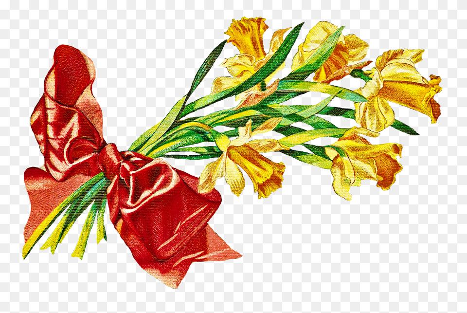 Catnipstudiocollage Vintage Clip Art, Flower, Flower Arrangement, Flower Bouquet, Plant Png