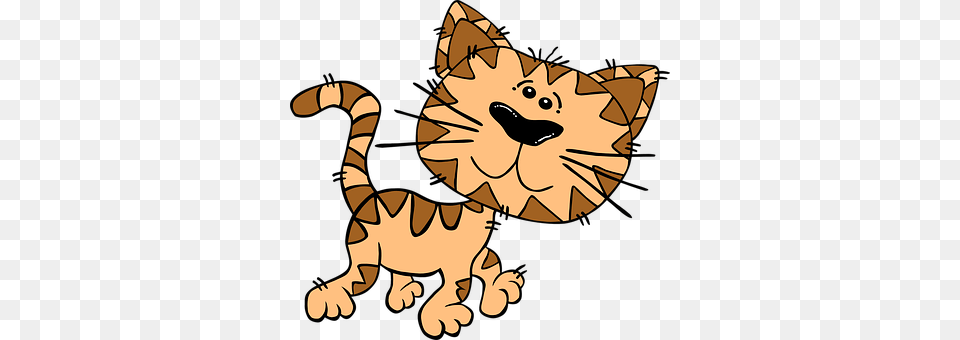 Cats Baby, Person, Face, Head Free Transparent Png