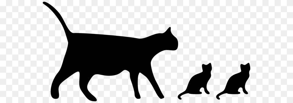 Cats Silhouette, Animal, Cat, Mammal Png Image