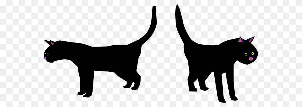 Cats Free Transparent Png