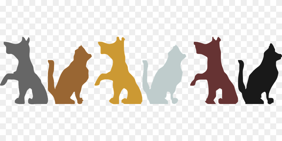 Cats And Dogs Clipart Group With Items, Adult, Baby, Bride, Female Free Transparent Png