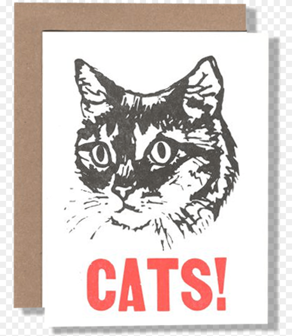 Cats Cat Face Svg Black And White, Advertisement, Poster, Animal, Mammal Free Png