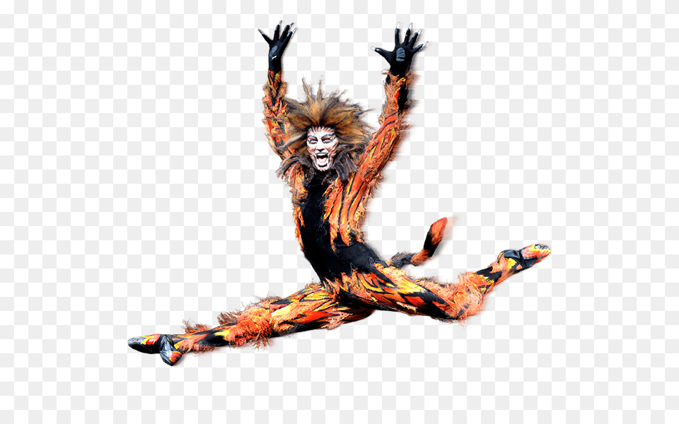 Cats Character, Person, Dancing, Leisure Activities, Adult Free Transparent Png
