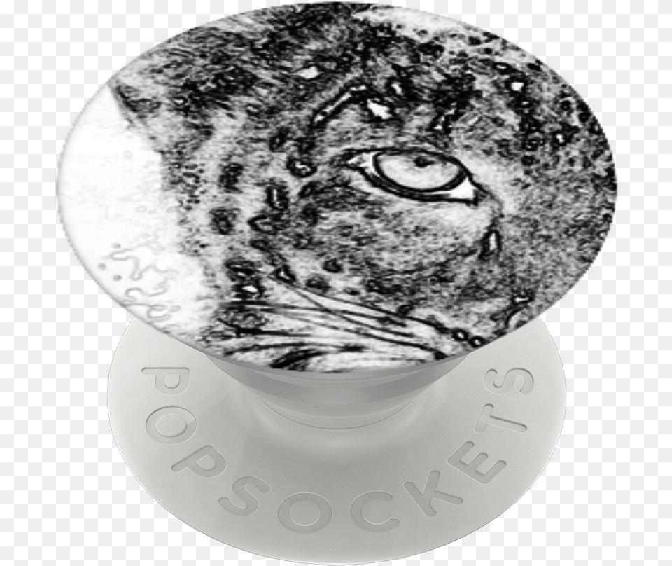 Cats Eyes Popsockets Owl, Art, Animal, Mammal, Panther Free Png Download