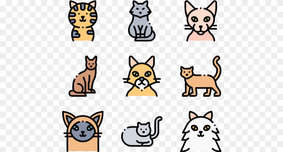 Cats God Icons, Animal, Cat, Mammal, Pet Png