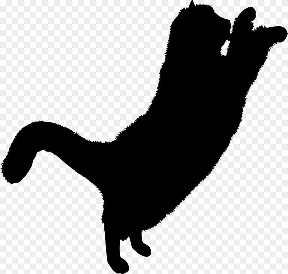 Cats Icon, Gray Free Png