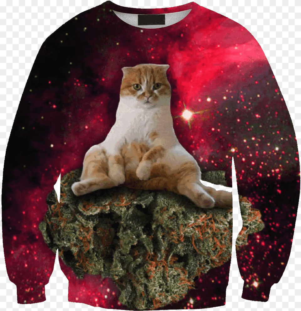 Cats Partying Gif, Clothing, T-shirt, Animal, Cat Free Png Download