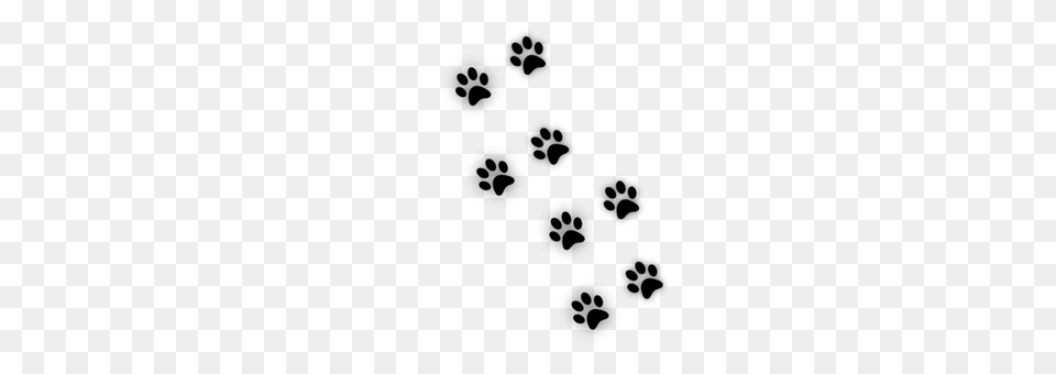 Cats Paw Gray Png Image