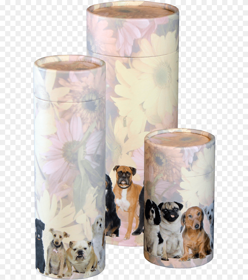 Cats Tube Large Medium And Small Dog Tubes Dog Scatter Tube, Paper, Animal, Canine, Mammal Free Transparent Png