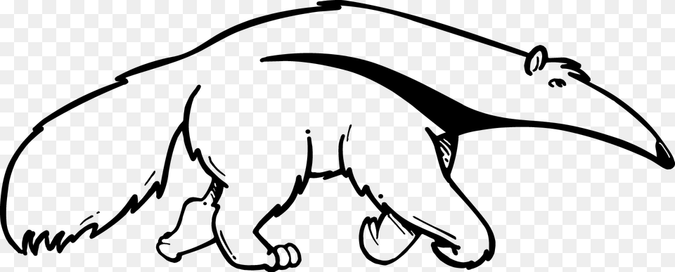 Cats Vector Cat Outline Anteater Black And White, Animal, Wildlife, Mammal, Fish Free Png