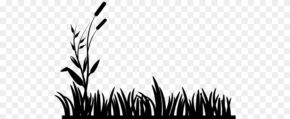 Cattail Clip Art, Grass, Plant, Silhouette, Reed Free Png