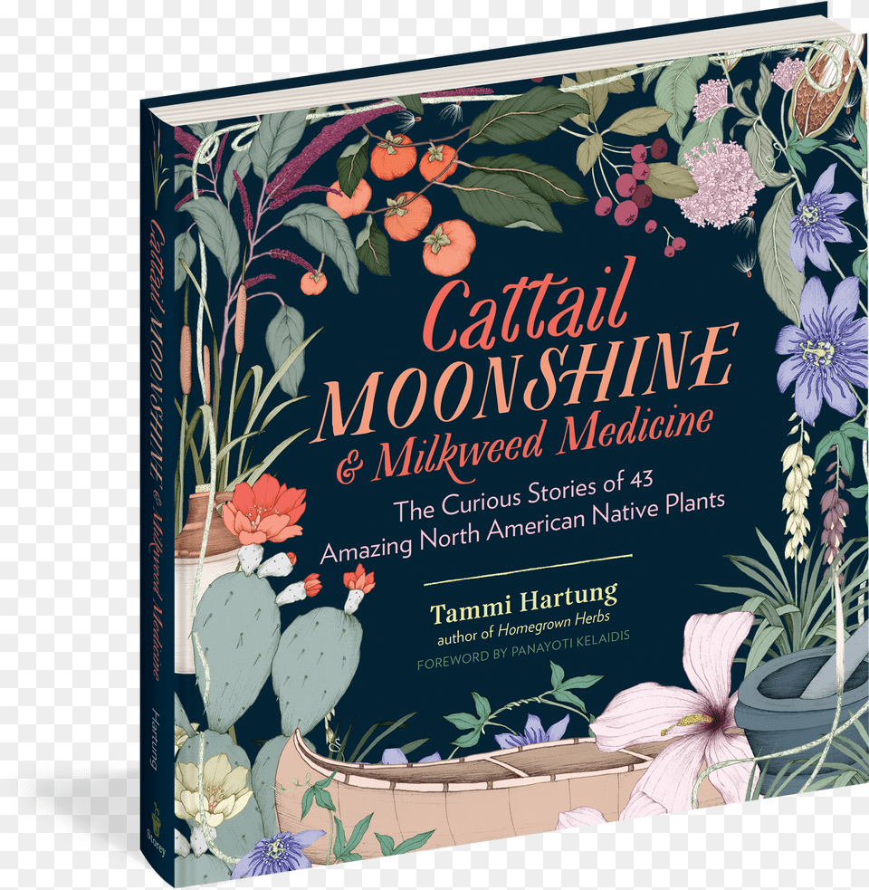 Cattail Moonshine Amp Milkweed Medicine Cattail Moonshine And Milkweed Medicine Png Image
