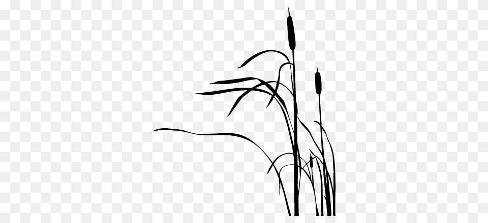 Cattail Silhouette Tatoo Ideas Tattoos Silhouette, Grass, Plant, Reed, Art Png