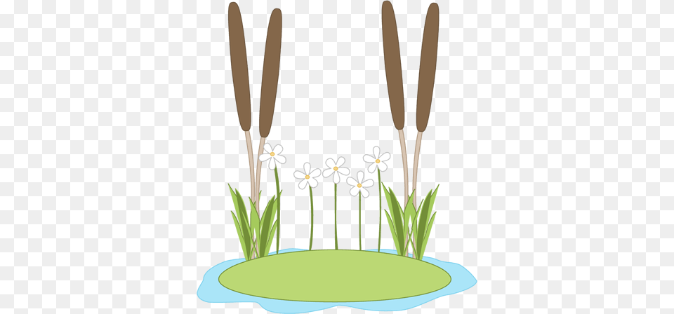 Cattails In Pond Clipart Clip Art Lily Pad, Anther, Flower, Grass, Plant Png