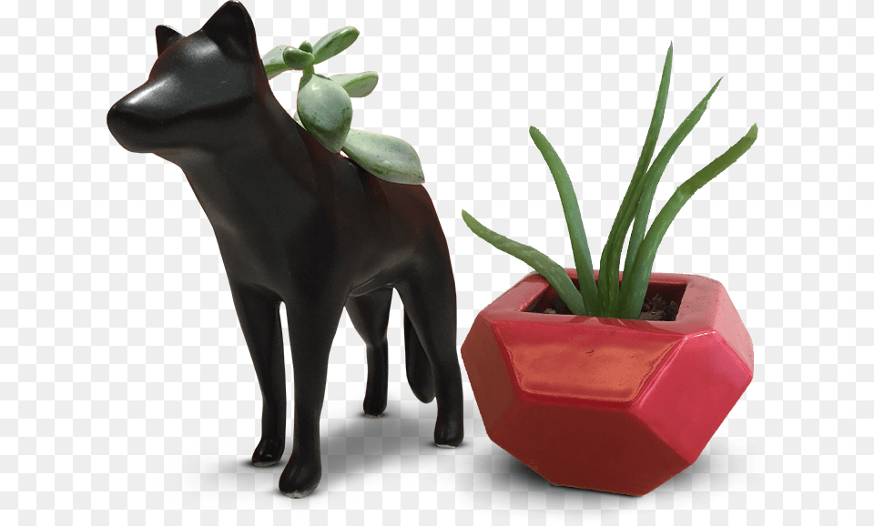 Cattle, Vase, Pottery, Potted Plant, Planter Png Image
