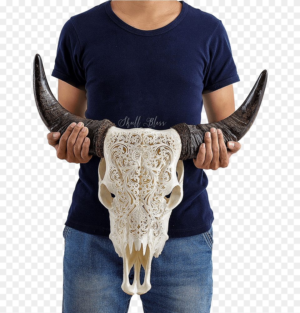 Cattle, Clothing, T-shirt, Jeans, Pants Png