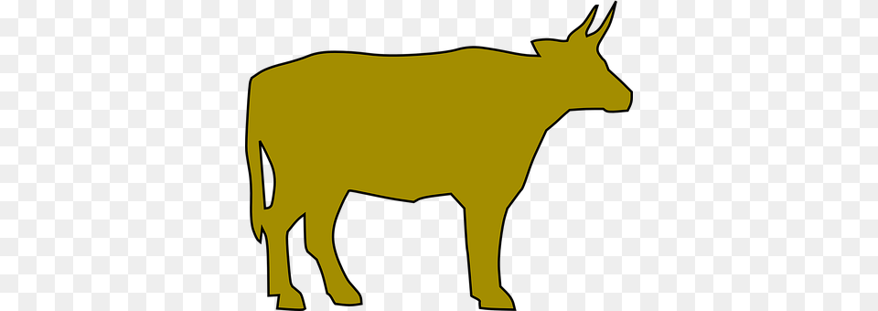Cattle Animal, Bull, Livestock, Mammal Png Image