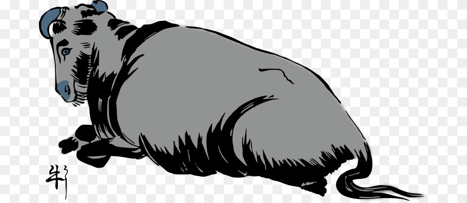 Cattle, Person, Animal, Mammal, Face Png Image