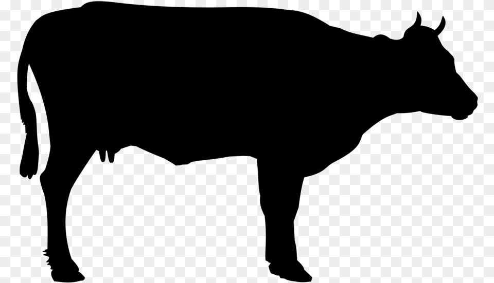 Cattle Beef Cattle Cow Foot Meat Butcher Cow Black And White, Gray Png