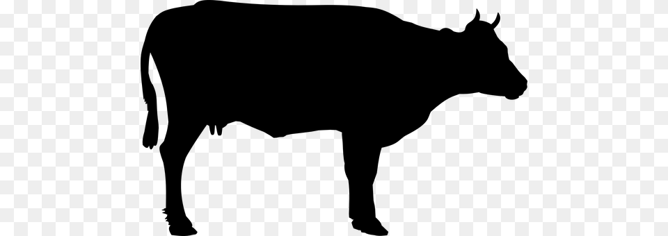 Cattle Beef Cattle Cow Foot Meat Butcher S Beef Clipart Black And White, Gray Free Png