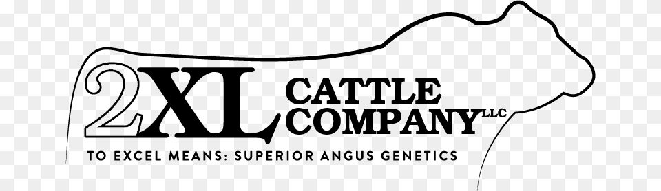 Cattle Company Llc Cattle, Text, Logo Png Image