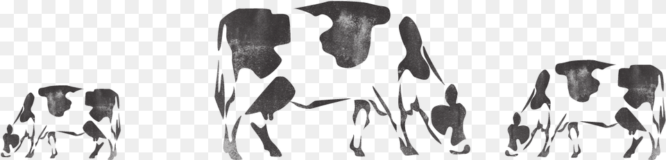 Cattle Dairy Cow Png