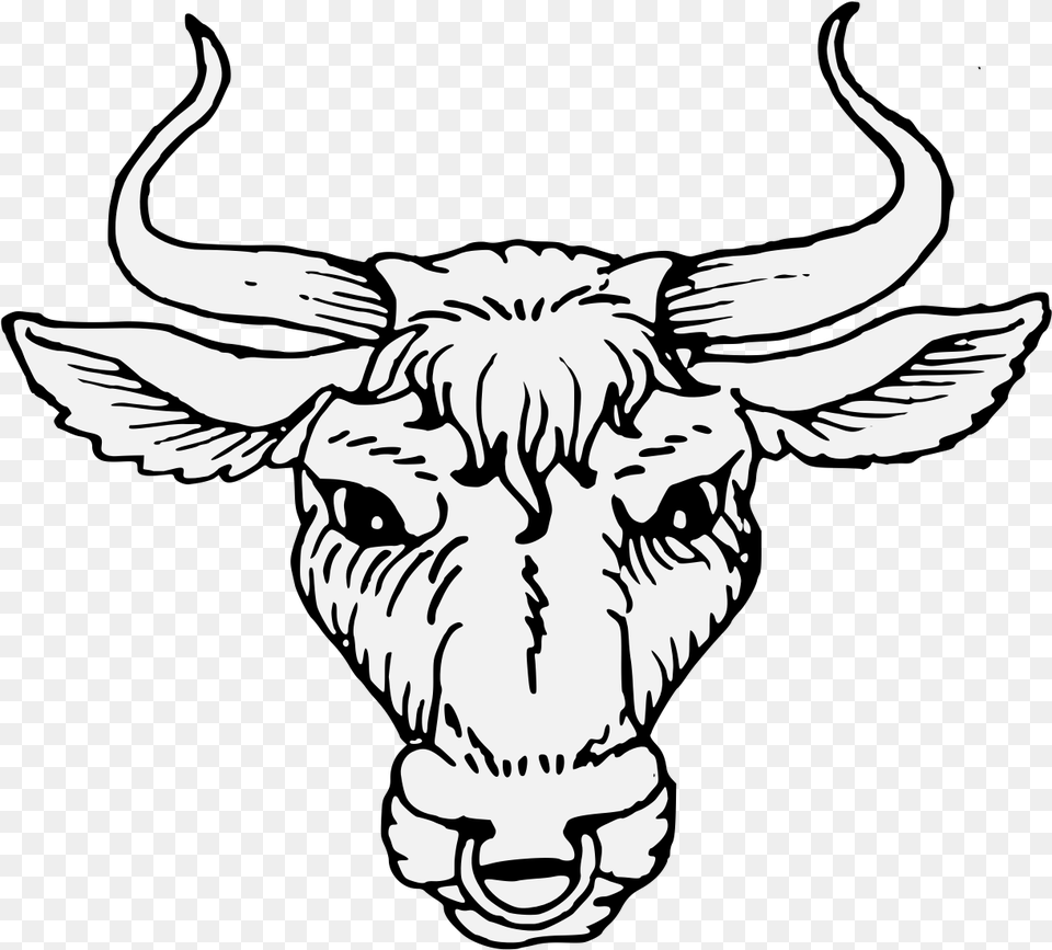 Cattle Heraldry Artist Ox Ox Head Horn, Animal, Bull, Mammal, Baby Png Image