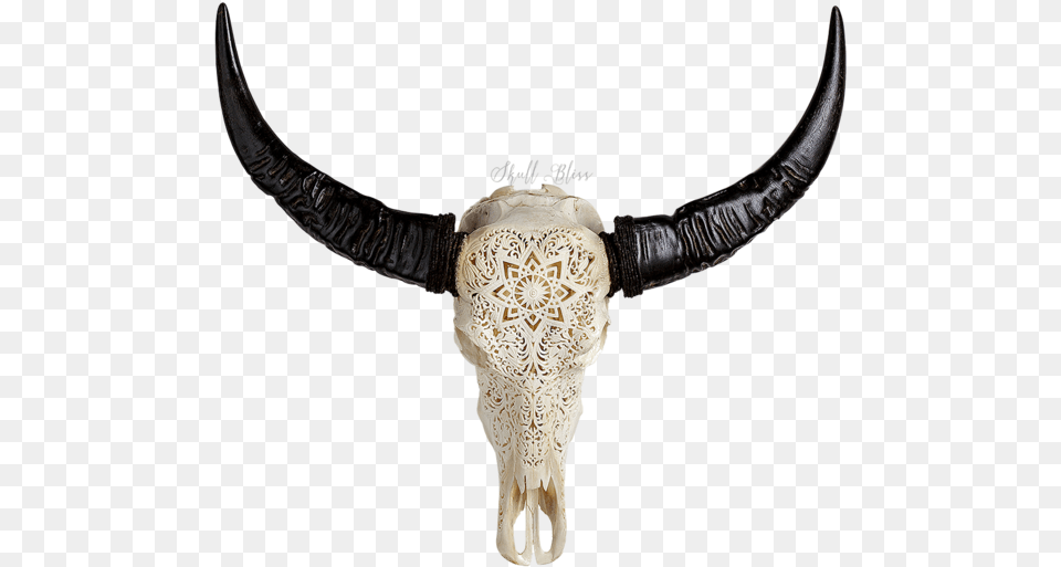 Cattle Horn Animal Skulls Water Buffalo Engraved Buffalo Skull, Accessories, Necklace, Jewelry, Antler Free Png
