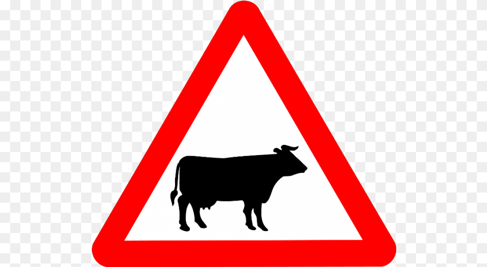 Cattle Images Clipart Animals Crossing Road Sign, Symbol, Animal, Cow, Livestock Free Transparent Png