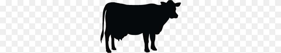 Cattle Vector Silhouette For Free Download On Ya Webdesign, Animal, Cow, Livestock, Mammal Png Image