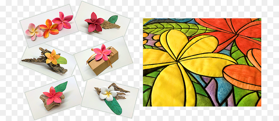 Cattleya, Art, Plant, Paper Png