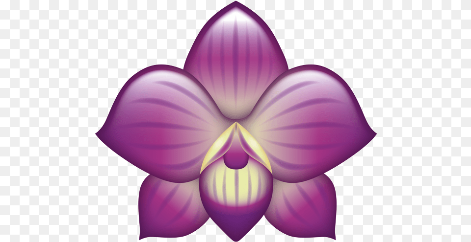 Cattleya, Flower, Orchid, Plant, Chandelier Png