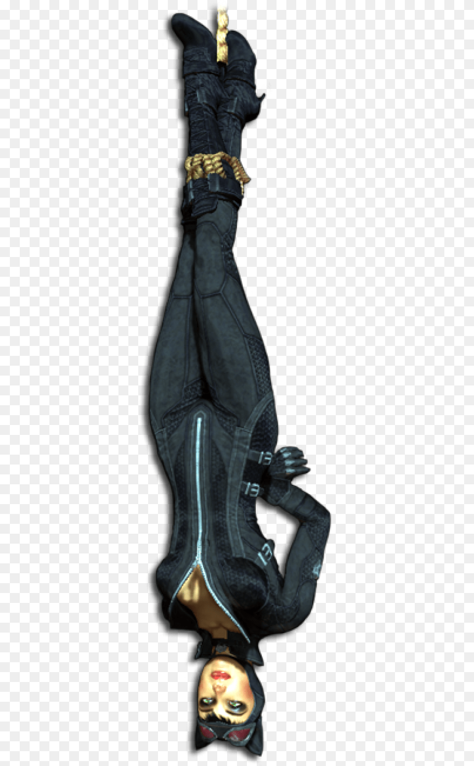 Catwoman Up Down Batman Arkham City Catwoman, Clothing, Pants, Person Png Image