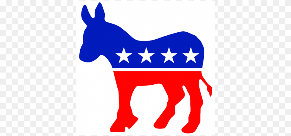 Caucus For All New Canaan Democrats This Tuesday New Canaan, Animal, Mammal, Wildlife, Zebra Free Png Download