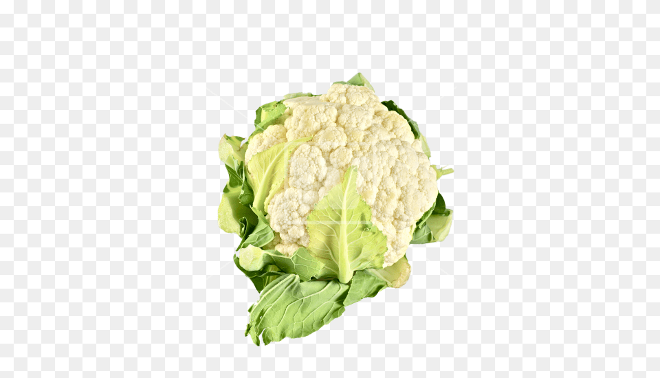 Cauliflower, Food, Plant, Produce, Vegetable Free Transparent Png