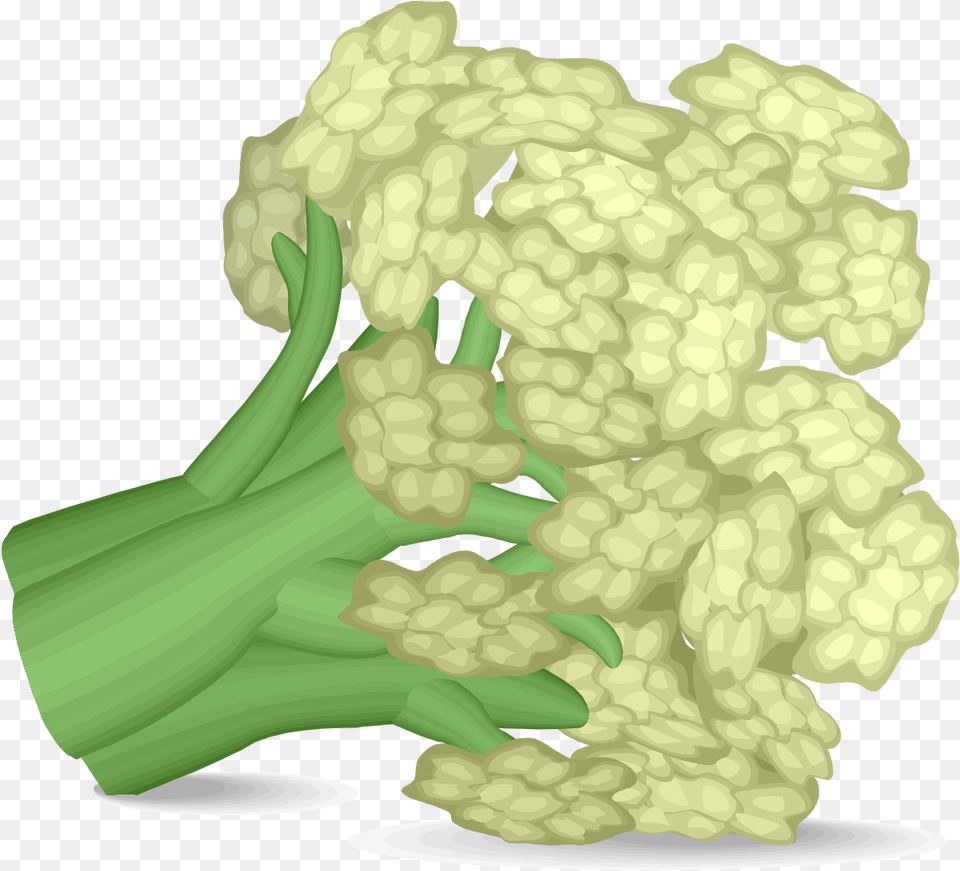 Cauliflower Califlour Clipart, Food, Produce, Plant, Vegetable Png Image