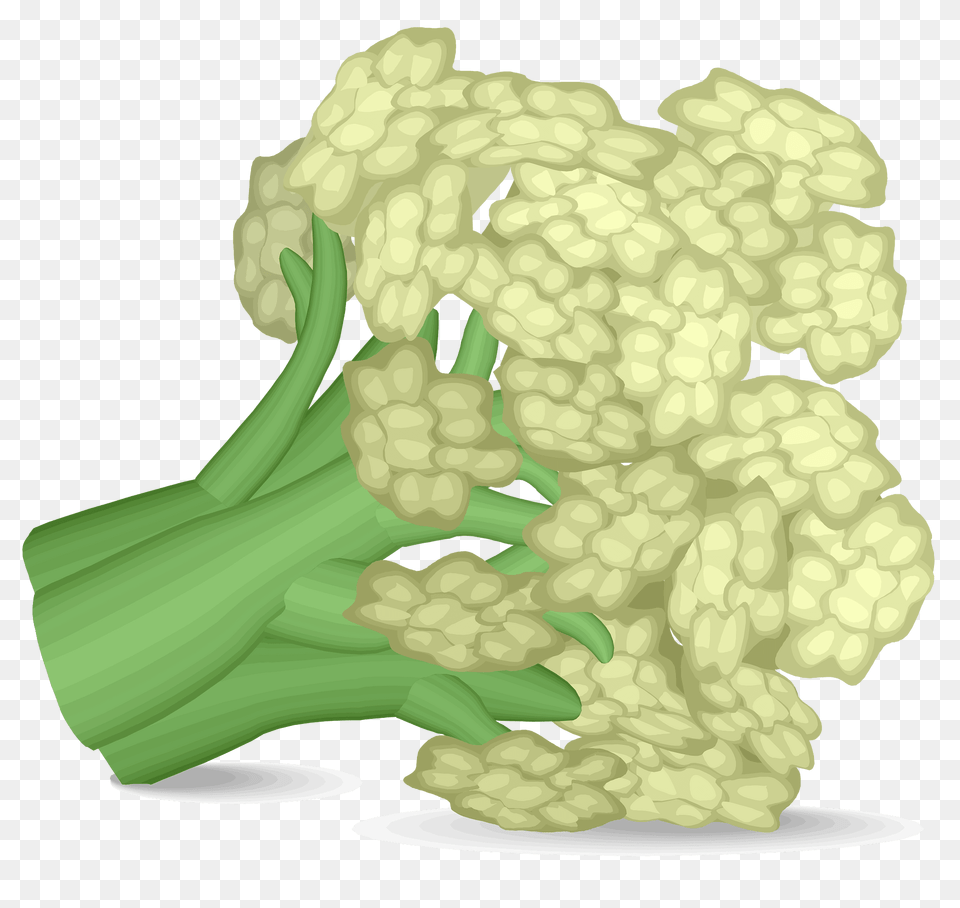 Cauliflower Clipart, Food, Produce, Plant, Vegetable Png
