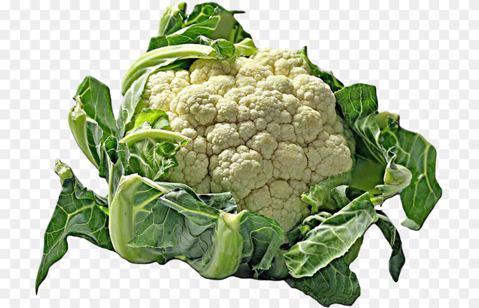 Cauliflower Cut Out Clipart Blumenkohl, Food, Plant, Produce, Vegetable Png Image